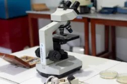 Laboratorium Kebidanan Kehamilan